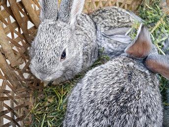 《F1 22》发布新预告 展示迈阿密国际赛道场景